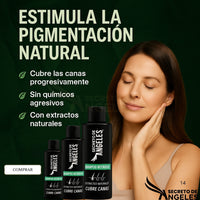 SHAMPO CANAS SECRETOX 1UN+2OBSEQ