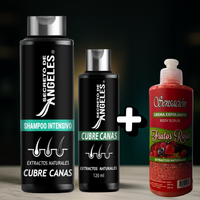 SHAMPO CANAS SECRETOX 1UN+2OBSEQ