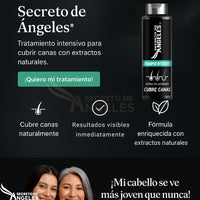 SHAMPO CANAS SECRETOX 1UN+2OBSEQ